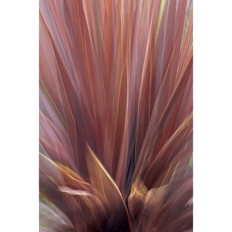 USA, Oregon, Portland Abstract of red flax plant Gold Ornate Wood Framed Art Print with Double Matting by Terrill, Steve
