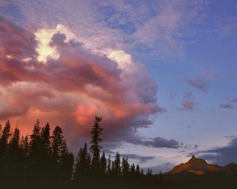 Oregon, Umpqua NF Storm approaching Mt Thielsen White Modern Wood Framed Art Print with Double Matting by Terrill, Steve