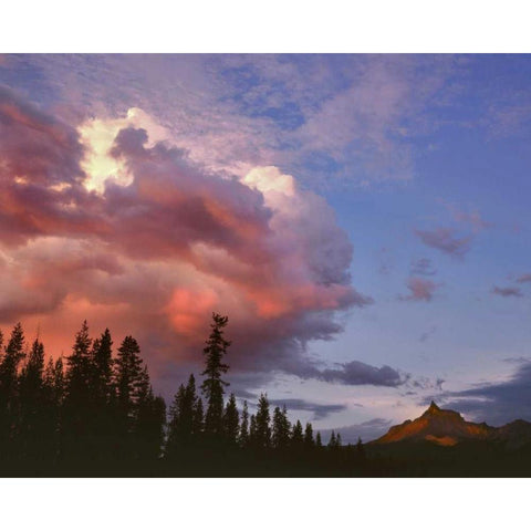Oregon, Umpqua NF Storm approaching Mt Thielsen Black Modern Wood Framed Art Print by Terrill, Steve