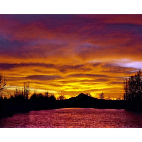 Oregon Mt Hood and Whitaker Pond at sunrise Black Modern Wood Framed Art Print by Terrill, Steve