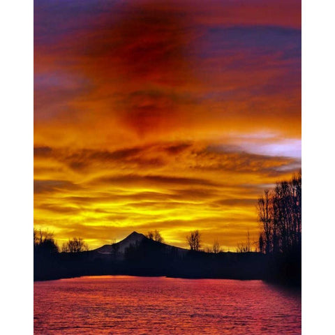 Oregon Mt Hood and Whitaker Pond at sunrise Black Modern Wood Framed Art Print by Terrill, Steve