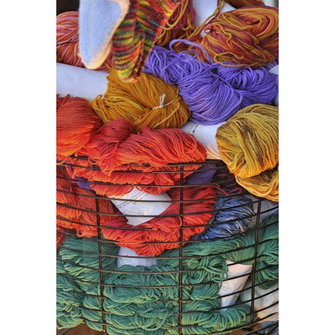 Oregon, Portland Basket of yarn bundles Gold Ornate Wood Framed Art Print with Double Matting by Terrill, Steve