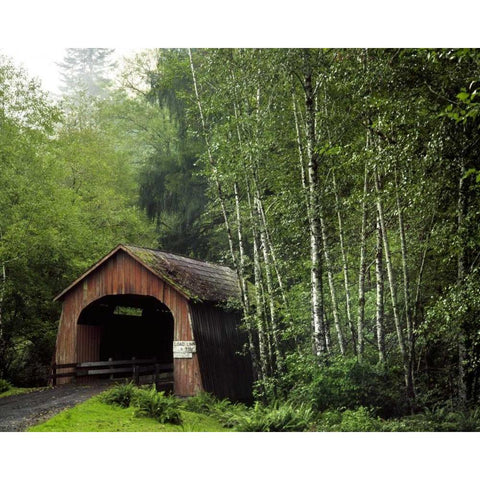 OR, Yachats River, Covered bridge over North Fork Gold Ornate Wood Framed Art Print with Double Matting by Terrill, Steve