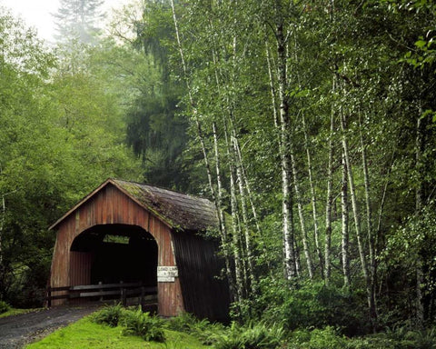 OR, Yachats River, Covered bridge over North Fork White Modern Wood Framed Art Print with Double Matting by Terrill, Steve