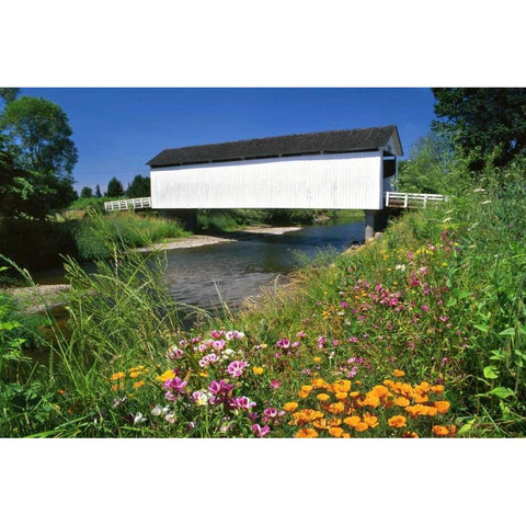 OR, Gallon House covered bridge over Abiqua Creek Gold Ornate Wood Framed Art Print with Double Matting by Terrill, Steve