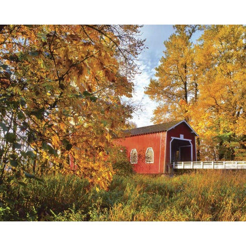 OR, Shimanek covered bridge in morning light Black Modern Wood Framed Art Print by Terrill, Steve