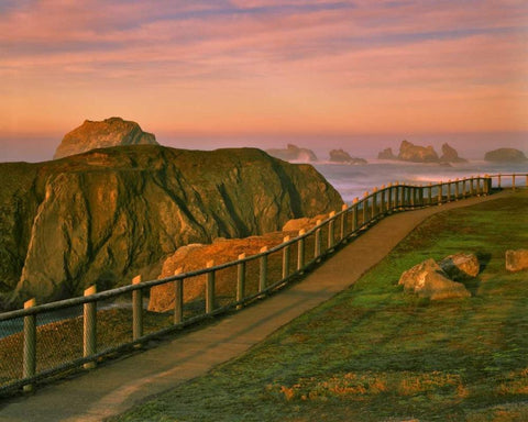OR, Bandon Rocks viewed from trail to beach Black Ornate Wood Framed Art Print with Double Matting by Terrill, Steve