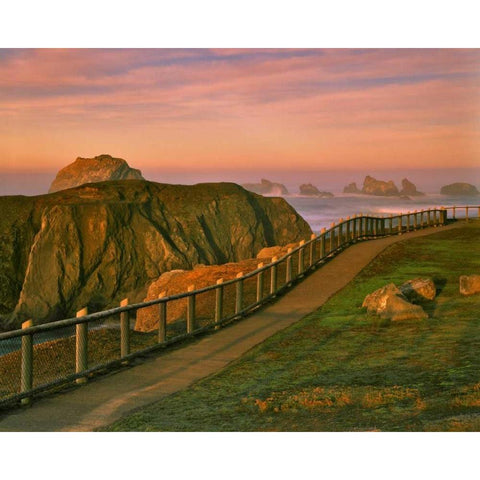 OR, Bandon Rocks viewed from trail to beach Gold Ornate Wood Framed Art Print with Double Matting by Terrill, Steve