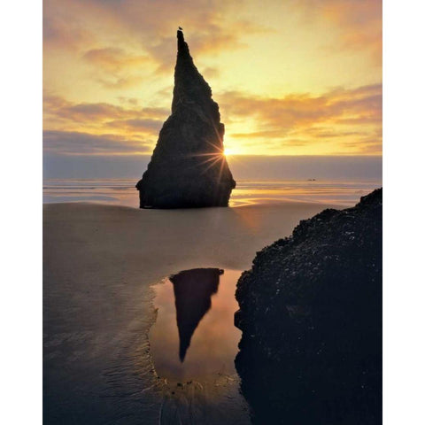 Oregon Rock formation at sunset on Bandon Beach White Modern Wood Framed Art Print by Terrill, Steve
