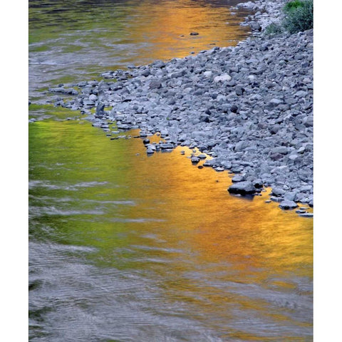 Oregon Autumn reflections in Collawash River White Modern Wood Framed Art Print by Terrill, Steve