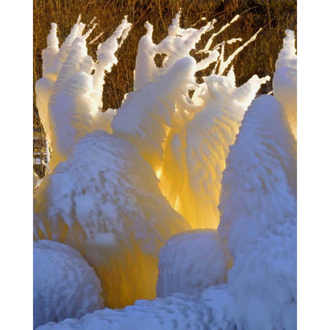 OR, Columbia Gorge Ice formations glowing Black Modern Wood Framed Art Print with Double Matting by Terrill, Steve