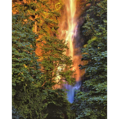 OR, Columbia Gorge Sunset on Multnomah Falls Black Modern Wood Framed Art Print with Double Matting by Terrill, Steve