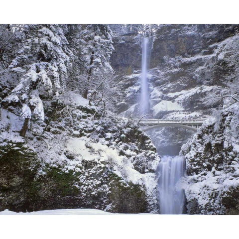OR, Columbia Gorge Winter at Multnomah Falls Gold Ornate Wood Framed Art Print with Double Matting by Terrill, Steve
