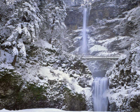 OR, Columbia Gorge Winter at Multnomah Falls White Modern Wood Framed Art Print with Double Matting by Terrill, Steve