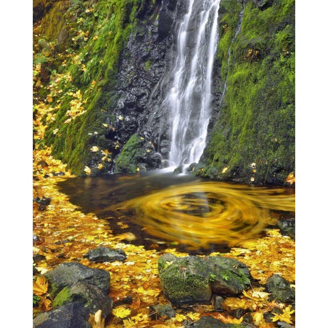 OR, Columbia Gorge Starvation Creek waterfall Black Modern Wood Framed Art Print with Double Matting by Terrill, Steve