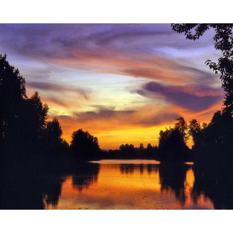 USA, Oregon Sunset reflecting in Columbia Slough Black Modern Wood Framed Art Print with Double Matting by Terrill, Steve