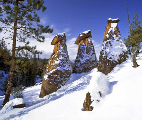 OR, Jefferson Co, The Balancing Rocks in winter Black Ornate Wood Framed Art Print with Double Matting by Terrill, Steve