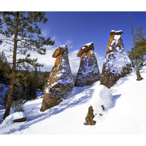 OR, Jefferson Co, The Balancing Rocks in winter Black Modern Wood Framed Art Print by Terrill, Steve