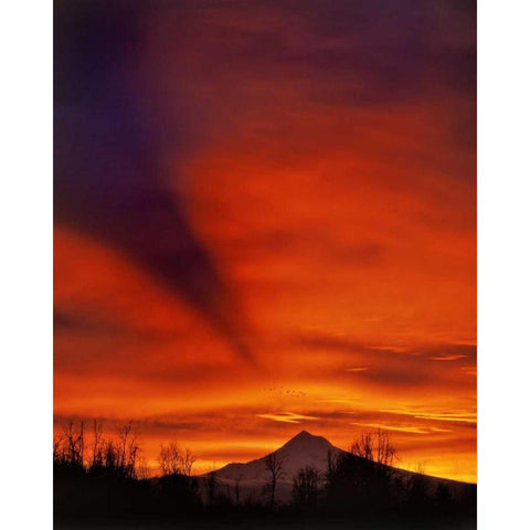 Oregon Sunrise with mountain shadow over Mt Hood Gold Ornate Wood Framed Art Print with Double Matting by Terrill, Steve