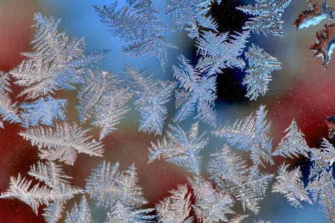 Oregon, Portland Ice crystals on window pane Black Ornate Wood Framed Art Print with Double Matting by Terrill, Steve