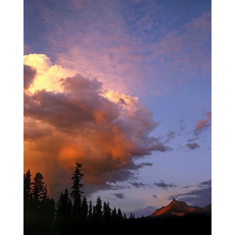 OR, Umpqua NF Storm approaching Mt Thielsen White Modern Wood Framed Art Print by Terrill, Steve