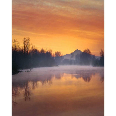 Oregon Mt Hood and Whitaker Pond at sunrise Gold Ornate Wood Framed Art Print with Double Matting by Terrill, Steve