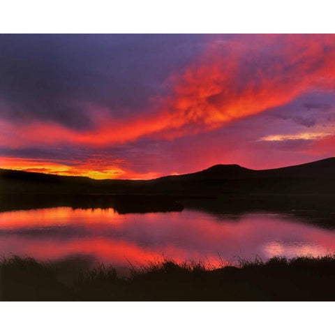 USA, Oregon Sunset over Upper Klamath Lake Gold Ornate Wood Framed Art Print with Double Matting by Terrill, Steve