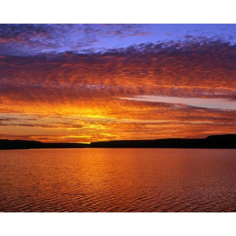 USA, Oregon Sunset over Lake Umatilla Black Modern Wood Framed Art Print by Terrill, Steve