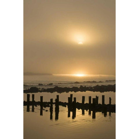 Oregon Foggy sunrise on Bandon Beach pilings Gold Ornate Wood Framed Art Print with Double Matting by Rotenberg, Nancy