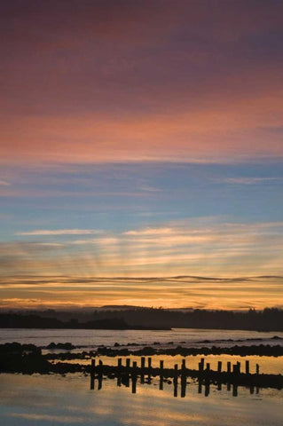 OR, Bandon Sunrise God rays over harbor Black Ornate Wood Framed Art Print with Double Matting by Rotenberg, Nancy