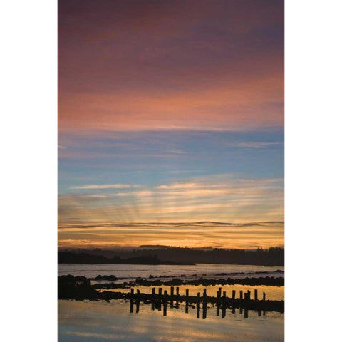 OR, Bandon Sunrise God rays over harbor Black Modern Wood Framed Art Print by Rotenberg, Nancy