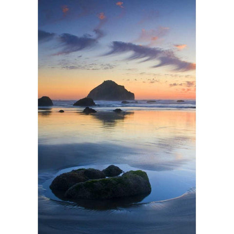 Oregon, Bandon Beach Face Rock and sea stacks Gold Ornate Wood Framed Art Print with Double Matting by Rotenberg, Nancy
