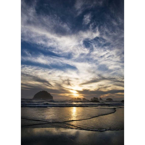 Oregon, Bandon Beach Face Rock and sea stacks Gold Ornate Wood Framed Art Print with Double Matting by Rotenberg, Nancy