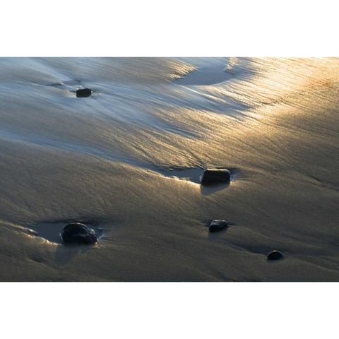 USA, Oregon Beach scenic at sunset Black Modern Wood Framed Art Print by Rotenberg, Nancy