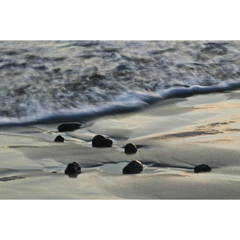 USA, Oregon Beach scenic White Modern Wood Framed Art Print by Rotenberg, Nancy