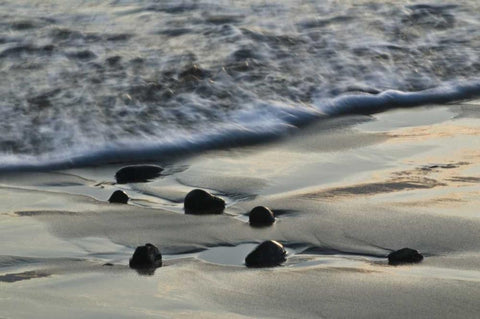 USA, Oregon Beach scenic Black Ornate Wood Framed Art Print with Double Matting by Rotenberg, Nancy