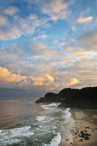 Oregon Heceta Head Lighthouse in morning light Black Ornate Wood Framed Art Print with Double Matting by Rotenberg, Nancy