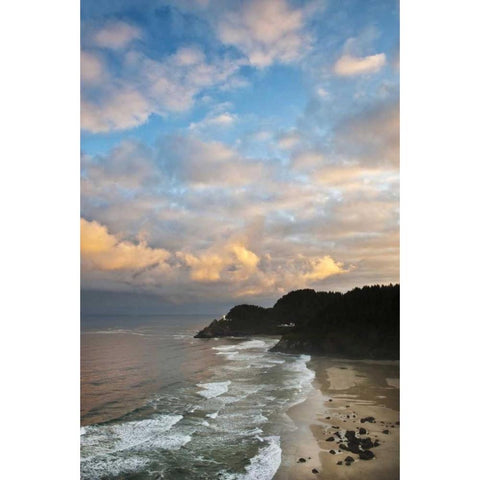 Oregon Heceta Head Lighthouse in morning light Black Modern Wood Framed Art Print by Rotenberg, Nancy