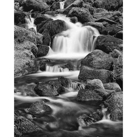 OR, Three Sisters Wilderness Area Proxy Falls White Modern Wood Framed Art Print by Flaherty, Dennis
