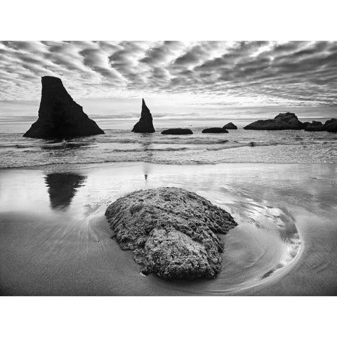 USA, Oregon, Bandon Beach Sunset on sea stacks Black Modern Wood Framed Art Print with Double Matting by Flaherty, Dennis