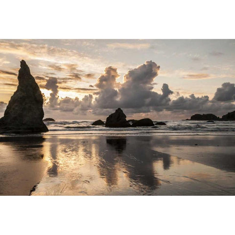 USA, Oregon, Bandon Shore scenic White Modern Wood Framed Art Print by Illg, Cathy and Gordon