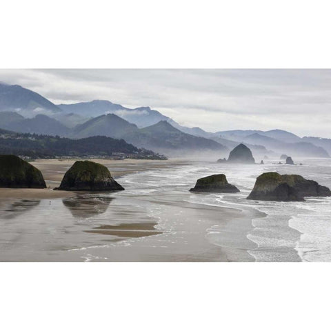 Oregon, Cannon Beach Fog rises over coastline Black Modern Wood Framed Art Print by Carter, Jean
