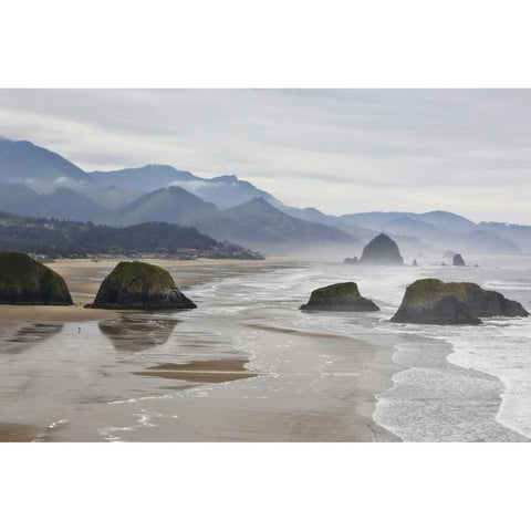 Oregon, Cannon Beach Fog rises over coastline Gold Ornate Wood Framed Art Print with Double Matting by Carter, Jean