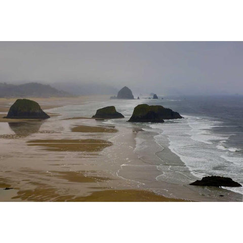 OR, Cannon Beach Foggy morning on coastline Black Modern Wood Framed Art Print with Double Matting by Carter, Jean