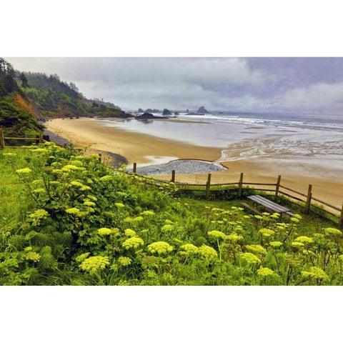 OR, Ecola SP Cow parsnip near Indian Beach Gold Ornate Wood Framed Art Print with Double Matting by Carter, Jean