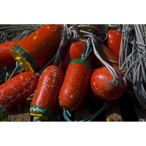 OR, Garibaldi Red and green crab pot buoys Black Modern Wood Framed Art Print by Carter, Jean