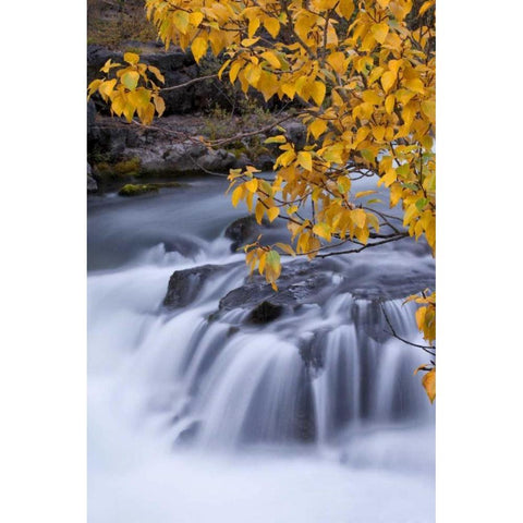 USA, Oregon Rogue River waterfalls in autumn Black Modern Wood Framed Art Print by Carter, Jean
