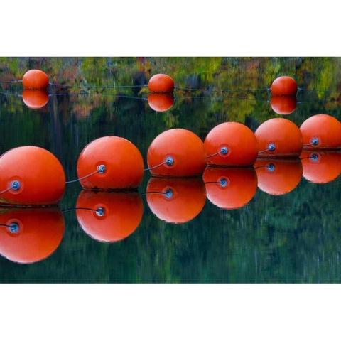 USA, Oregon Orange buoys form dam on Rogue River Black Modern Wood Framed Art Print by Carter, Jean