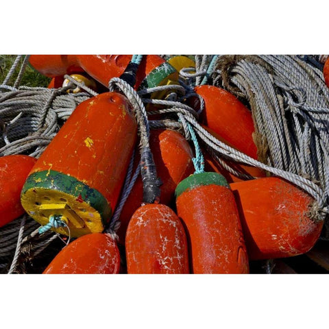 USA, Oregon, Garibaldi Colorful crab pot buoys Black Modern Wood Framed Art Print by Carter, Jean