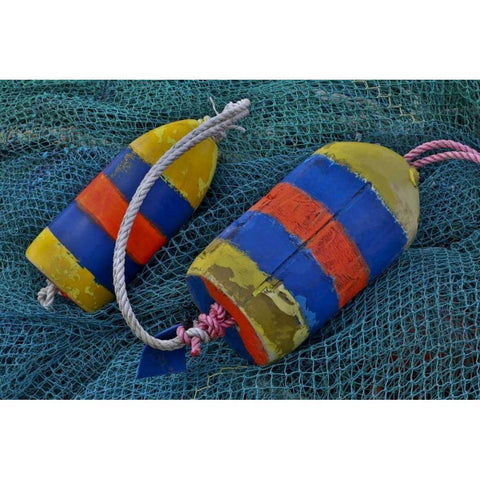 Oregon, Garibaldi Blue fishing nets with buoys Black Modern Wood Framed Art Print with Double Matting by Carter, Jean